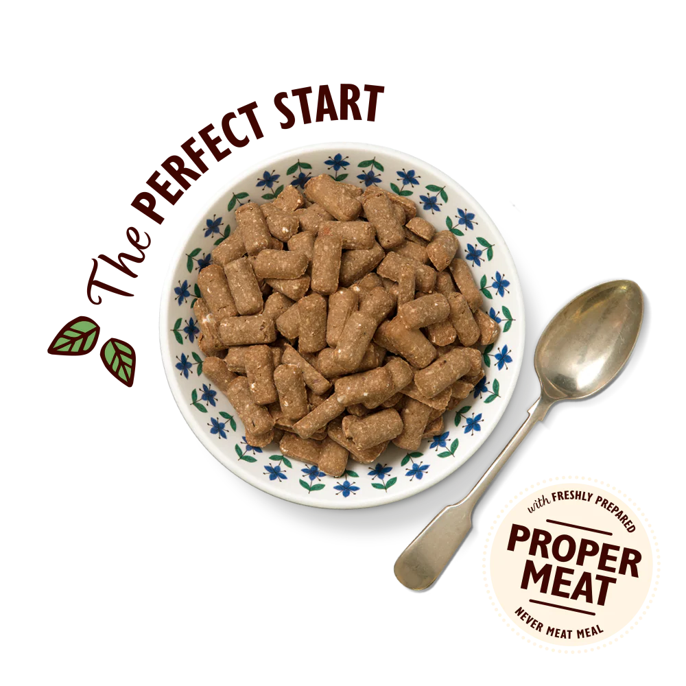 Breakfast Crunch (800g) - Image 3
