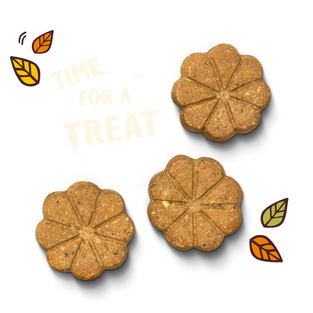 Breaktime Biscuits (80g) - Image 2