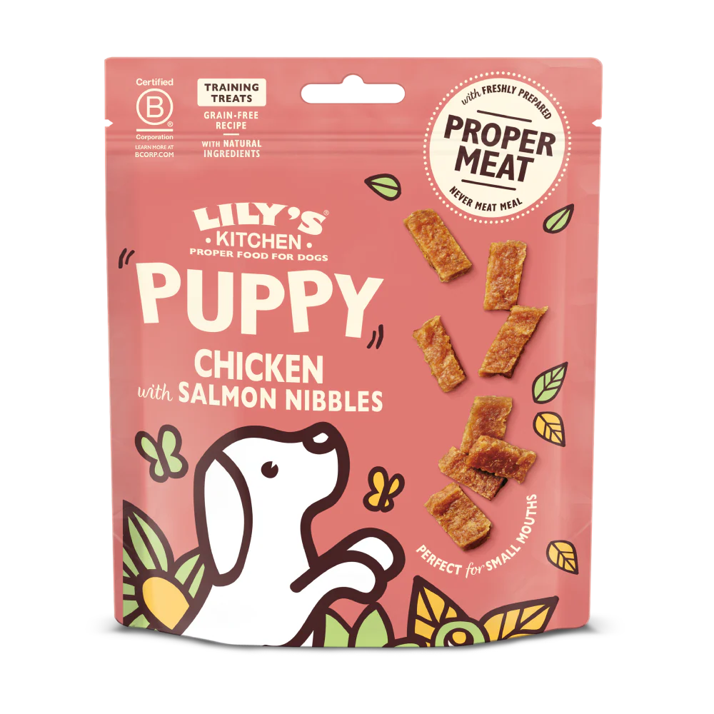 Salmon Dog Food