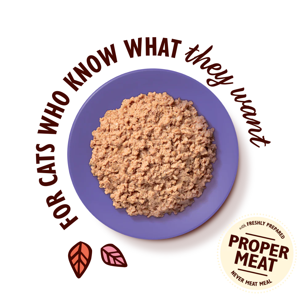 Chicken Paté for Mature Cats (85g) - Image 3