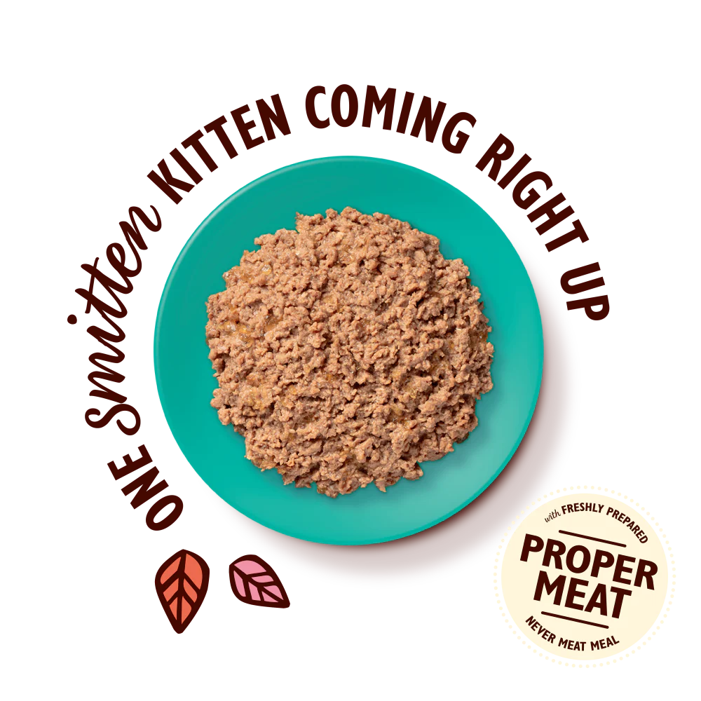 Chicken with Cod Paté for Kittens (85g) - Image 3
