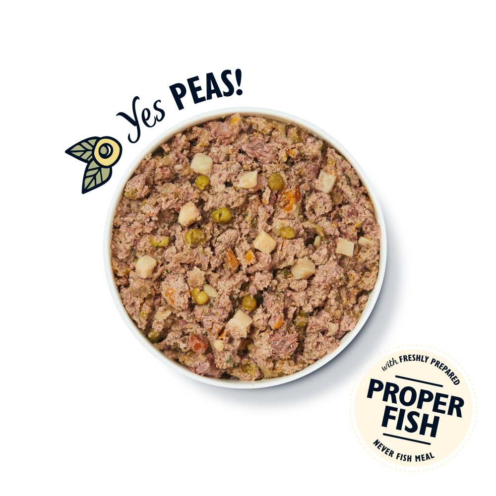 Fishy Fish Pie with Peas (400g) - Image 3