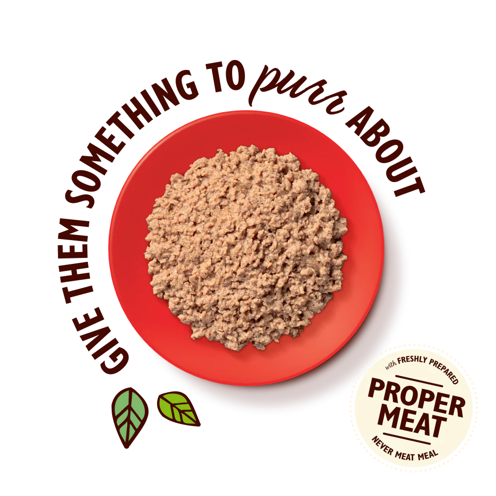Organic Beef Paté (85g) - Image 3