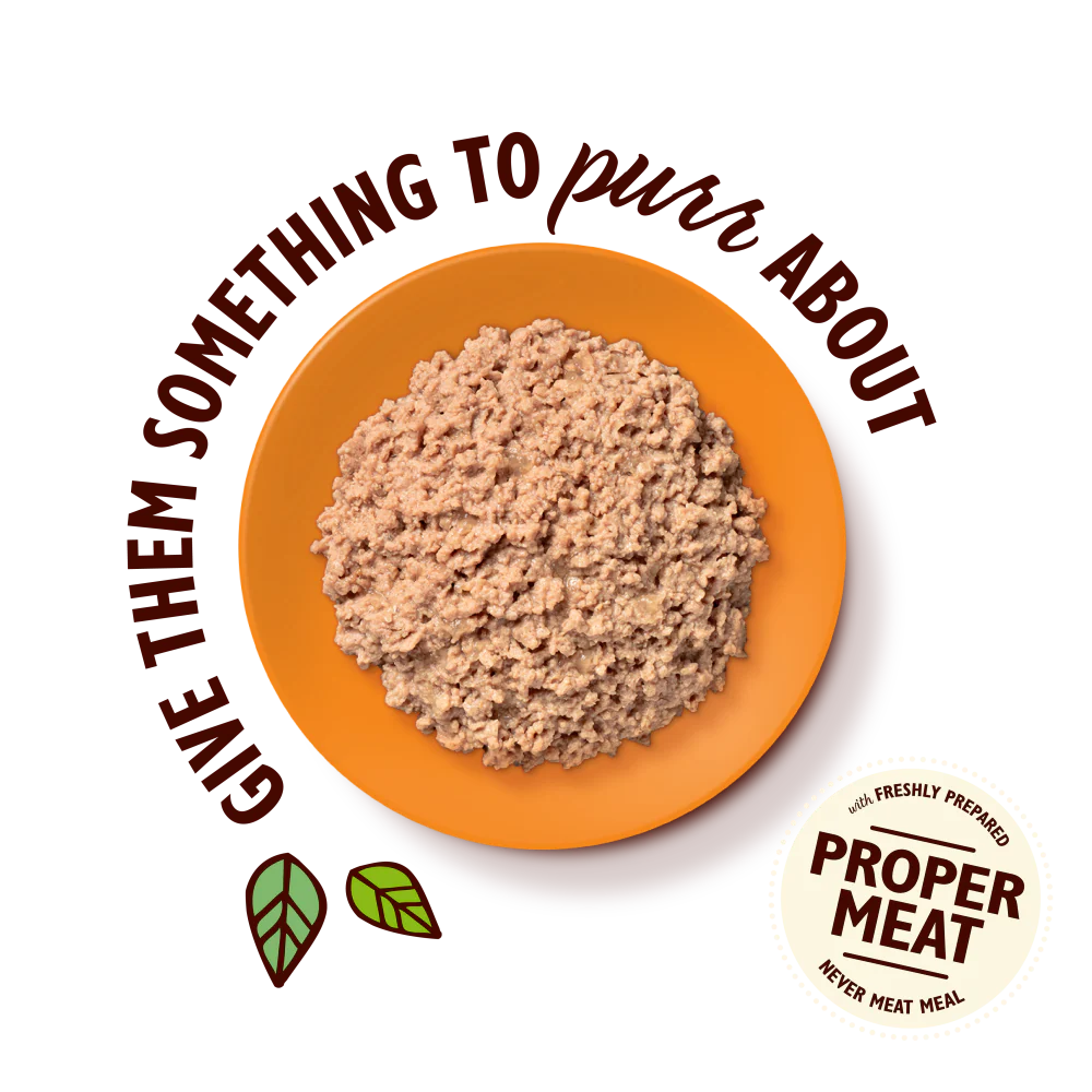 Organic Chicken Paté (19 x 85g) - Image 3