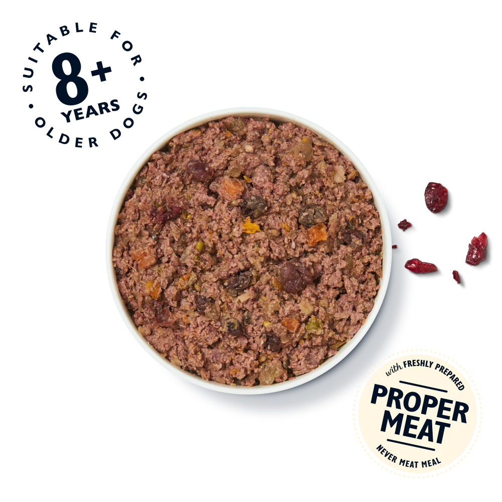 Senior Recipe for Older Dogs (6 x 400g) - Image 3