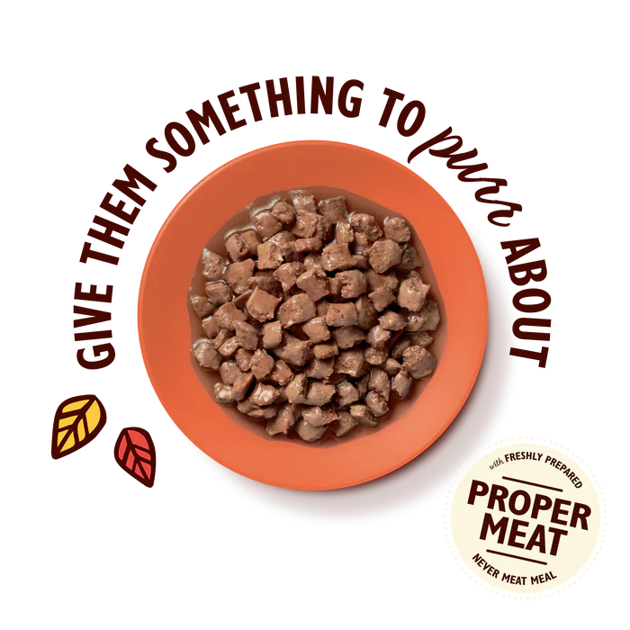 Tasty Cuts in Gravy Taster Selection - Image 2