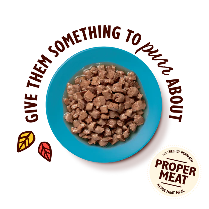 Texture Taster Treat Bundle - Image 3