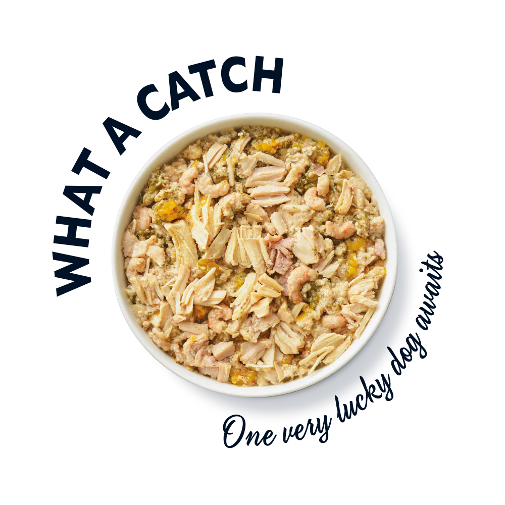 The Ultimate Chicken with Salmon Supper (10 x 150g) - Image 3