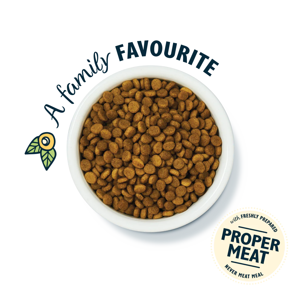 White Fish with Turkey & Trout Senior Dry Food (800g) - Image 3
